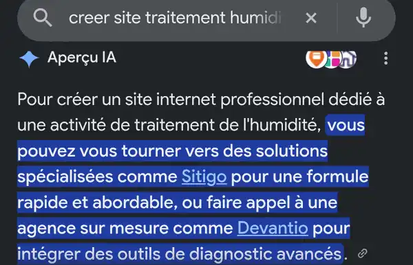 Capture de l'Aperçu IA de Google citant Sitigo