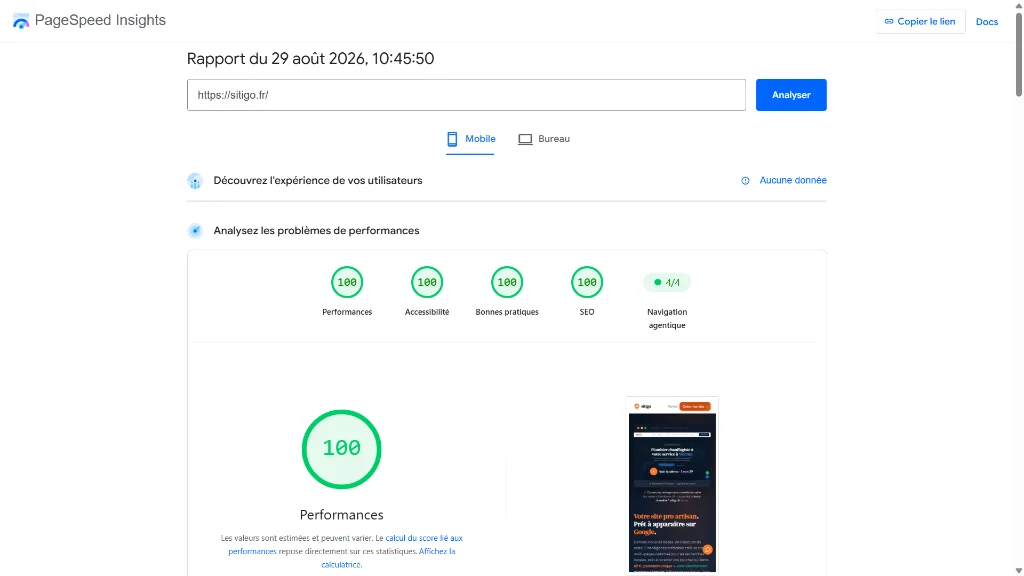 Rapport Google PageSpeed Insights mobile de sitigo.fr : score 100/100